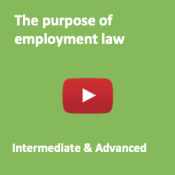 The purpose of employment law